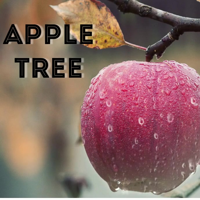 APPLE TREE Template | PosterMyWall