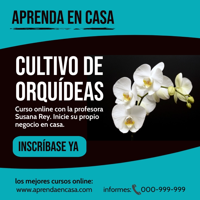 Aprenda en Casa Cultivo de Orquídeas Instagram Post template