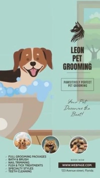 Aqua Joyful Pet Grooming Instagram Reel template