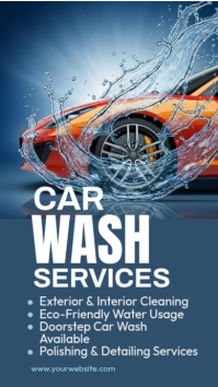 Aqua Professional Car Wash Sevices Instagram Story template