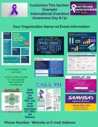 Aqua The Dangers Of Fentanyl Flyer (us Letter template