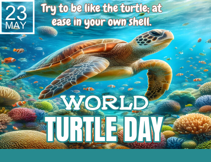 Copy of Aqua Turtle Day Flyer (us Letter) | PosterMyWall