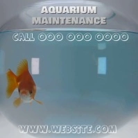 AQUARIUM MAINTENANCE AD TEMPLATE Square (1:1)
