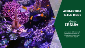AQUARIUM VIDEO AD Tampilan Digital (16:9) template