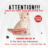 Attention missing cat Instagram Post template