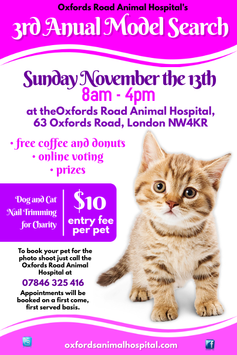 Aual Model Search Poster Template | PosterMyWall