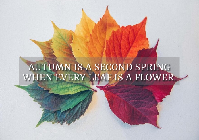 AUTUMN AND SPRING QUOTE TEMPLATE | PosterMyWall