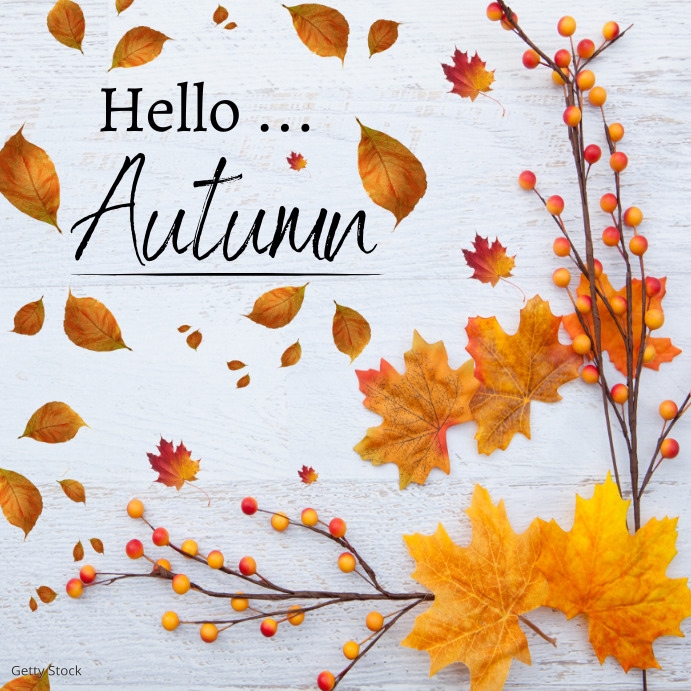 Aug Fall Posts Autumn Template | PosterMyWall
