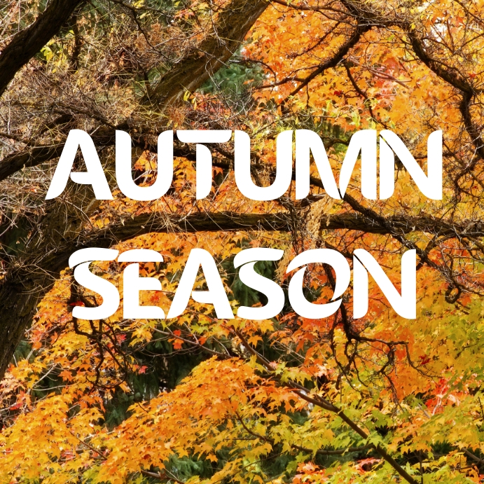 Autumn Instagram Post template
