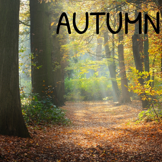 Autumn Publicação no Instagram template
