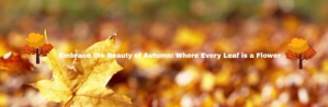 autumn Email header video Nagłówek wiadomości e-mail template