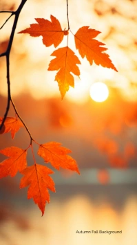 Autumn Fall Background Ecrã digital (9:16) template