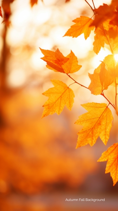 Autumn Fall Background Template | PosterMyWall