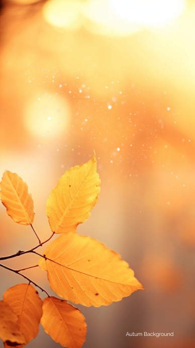 Autumn Fall Background Template | PosterMyWall