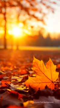 Autumn Fall Background Ecrã digital (9:16) template