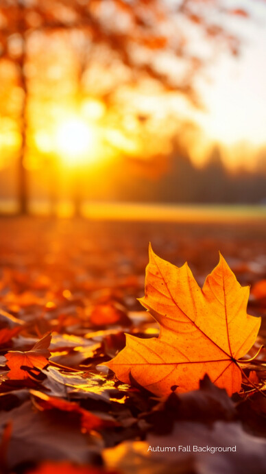 Autumn Fall Background Template | PosterMyWall