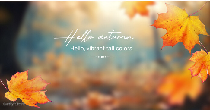 Copy of Autumn fall | PosterMyWall