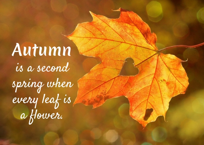 Autumn Fall Template | PosterMyWall