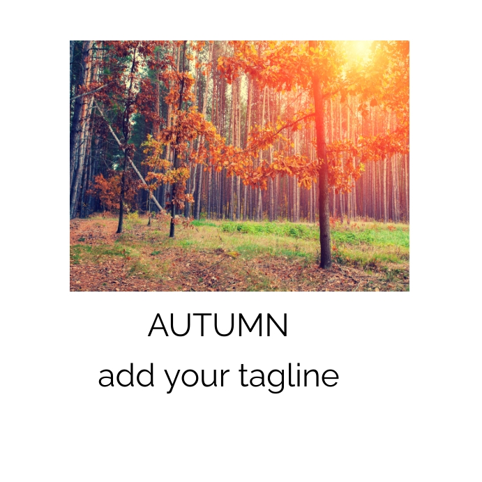 Fall Design Post autumn fall Template | PosterMyWall