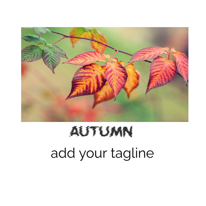 Fall Design Post autumn fall Template | PosterMyWall