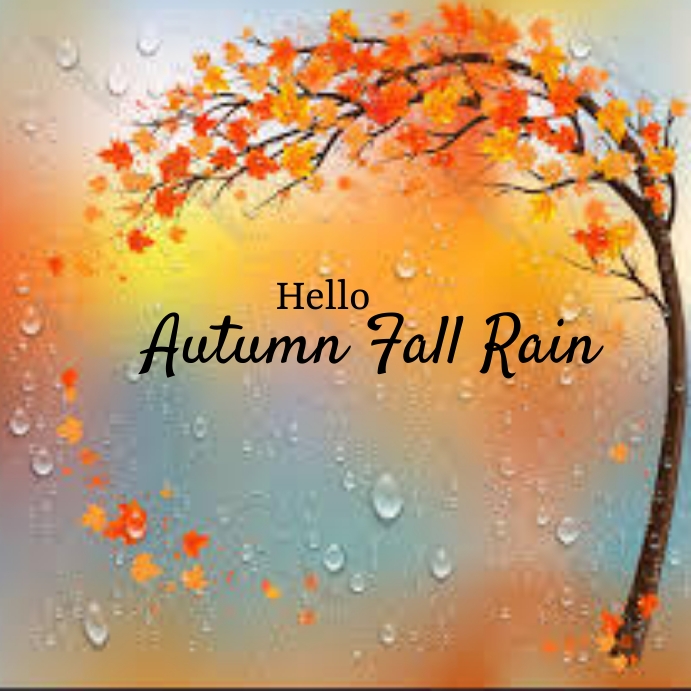 autumn fall instagram post Template | PosterMyWall