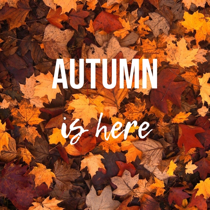 Autumn Flyer Template PosterMyWall