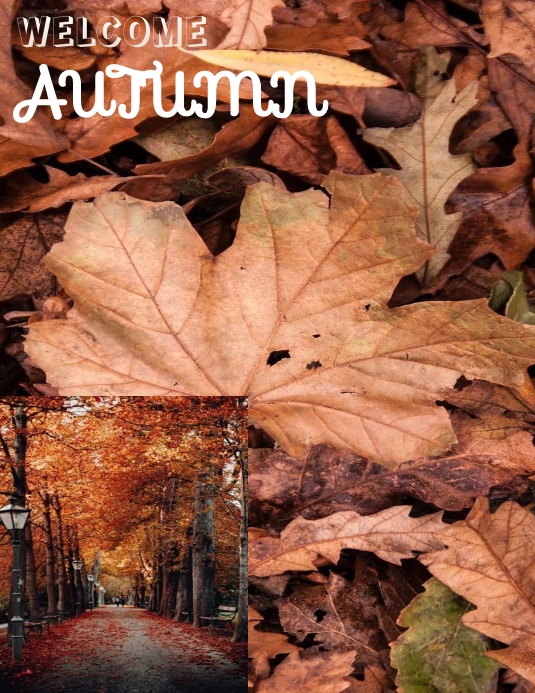 Autumn flyer template | PosterMyWall