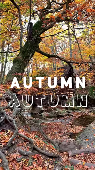 Autumn Instagram Reel template