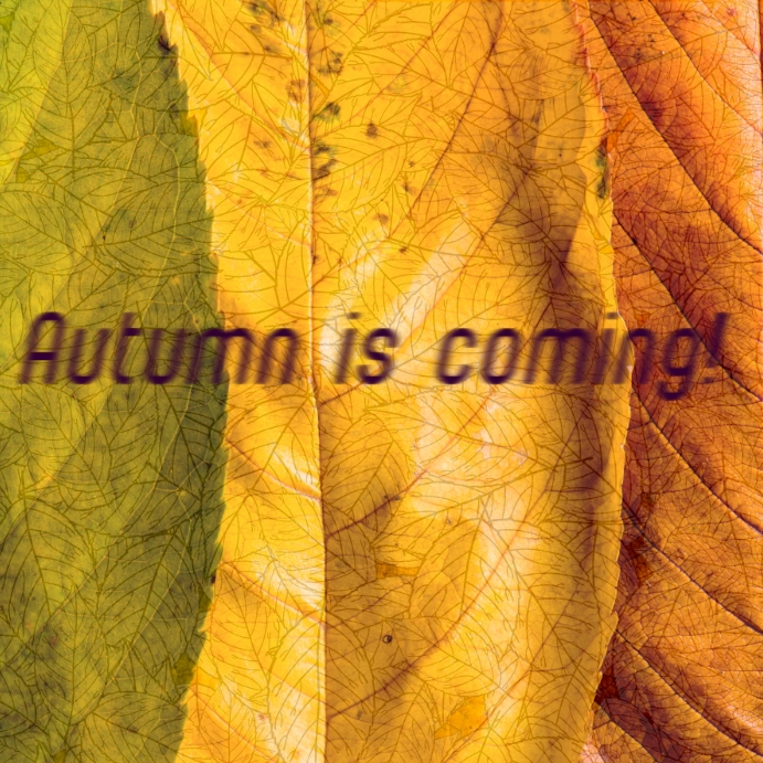 Autumn is Coming leaf on leaf template | PosterMyWall