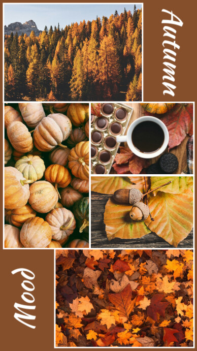 Autumn Photo Collage Template Instagram Story