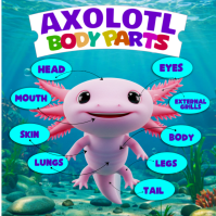 Axolotl Body Parts Learning Chart Pos Instagram template