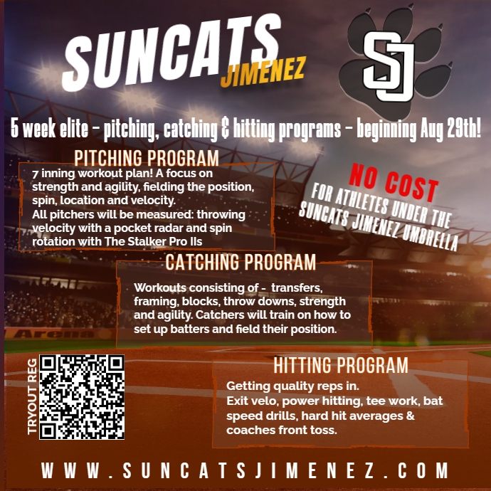 Copy of Pitching, hitting & catching | PosterMyWall