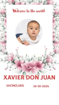 Baby announcement Instagram story Template