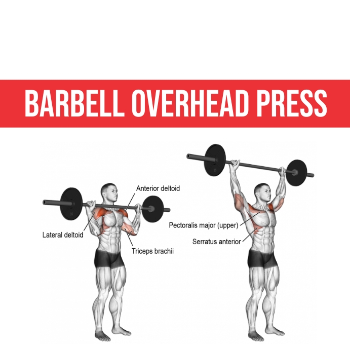 https://d1csarkz8obe9u.cloudfront.net/posterpreviews/barbell-overhead-press-design-template-ed952ffd66372ee63500369d85e98230_screen.jpg?ts=1607995567