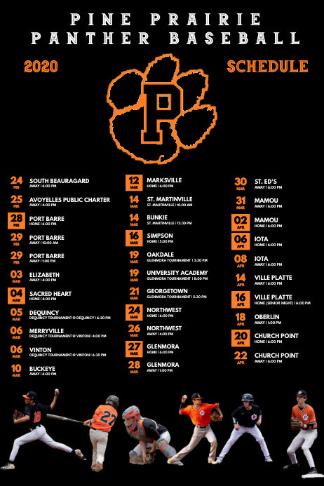 Baseball Schedule Poster template