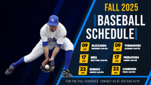 Baseball Schedule Digital Display Video template
