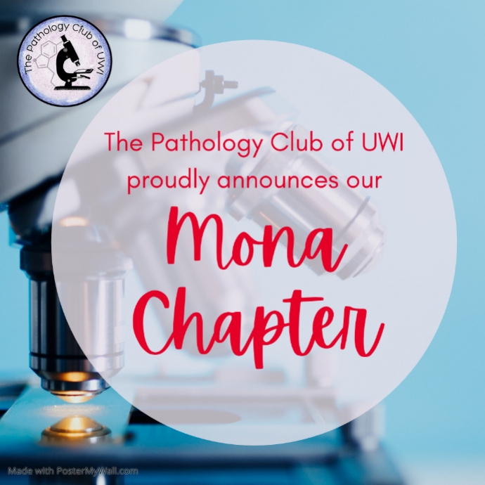 Mona Chapter Banner PosterMyWall