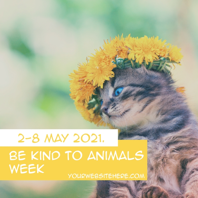 Be Kind to Animals Week Template PosterMyWall Be Kind to Animals Week Template PosterMyWall