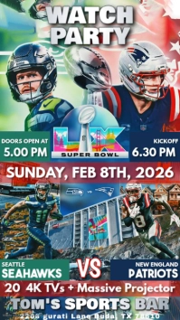 Super Bowl Watch Party