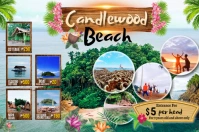 Beach Resort Spanduk 4' × 6' template