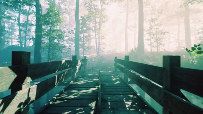 Beautiful Bridge Video Template | PosterMyWall