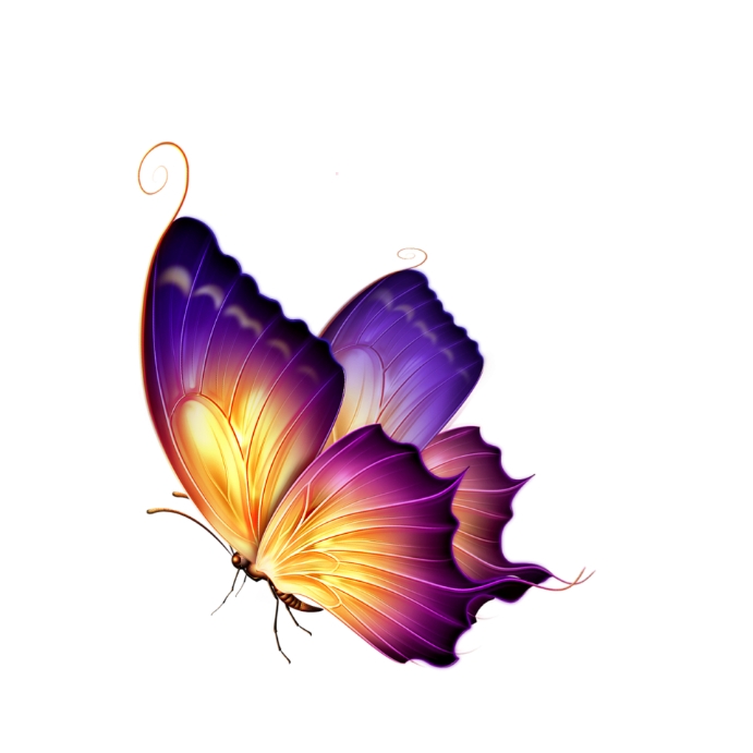Betterfly Design Butterfly Designs