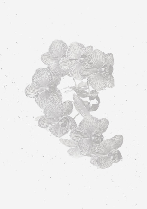 Beautiful Template PosterMyWall