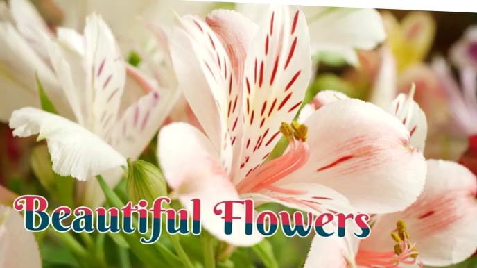 Beautiful Flowers Template | PosterMyWall