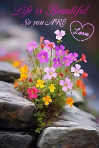 Beautiful Life Cartaz template