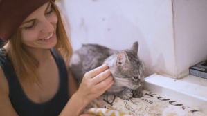 Brown Beautiful pet cat in home video Miniatura na YouTube Template