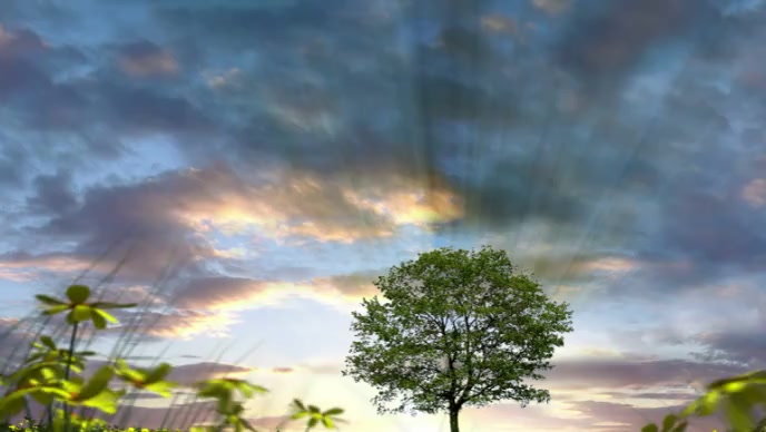 Thumbnail Layout Tree beautiful tree Template | PosterMyWall