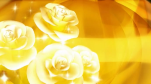Orange beautiful yellow rose YouTube-miniature Template
