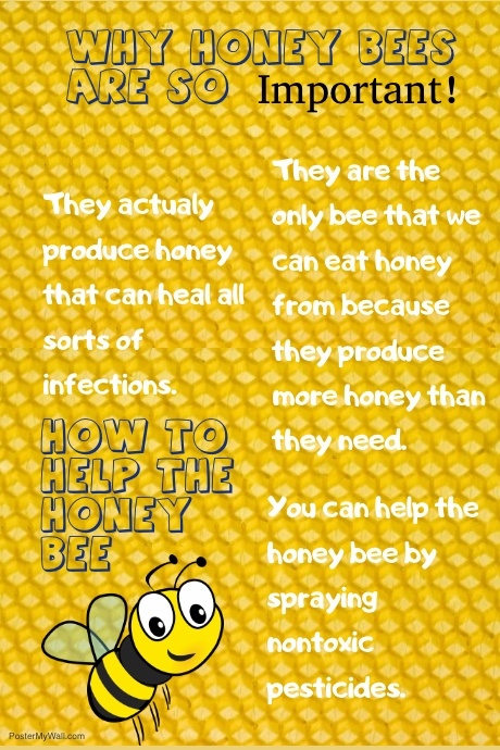 Copy of Spelling bee Competition template,Event Flyer