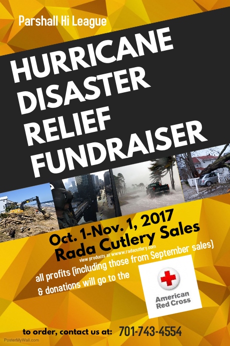 Copy of Disaster Relief Fundraiser Poster | PosterMyWall